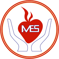 AMMESS LOGO